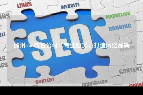 扬州com域名公司：专业服务，打造网络品牌